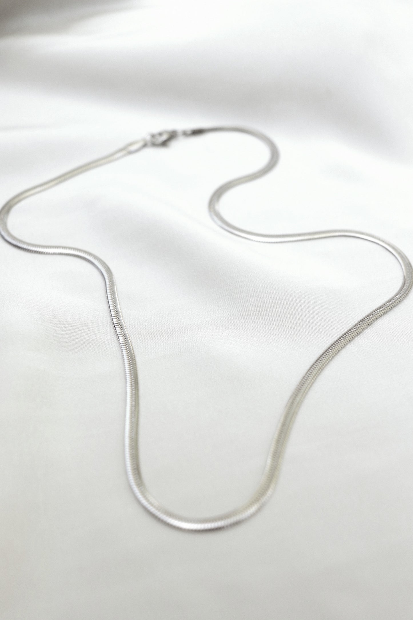 Flat Snake Chain Necklace - Silver